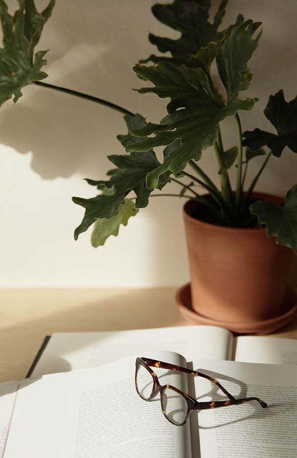 Open book and glasses on table  There is a vintage camera and potted plant in the background 
