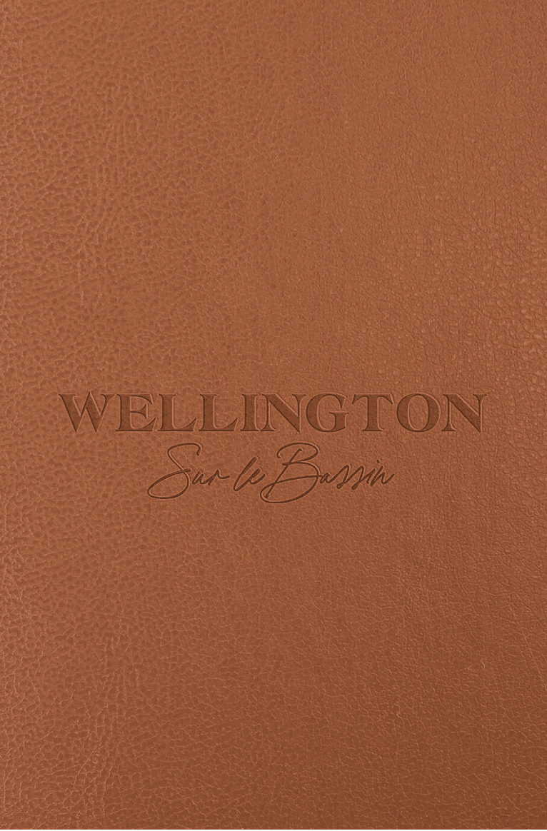 Brown leather texture as background